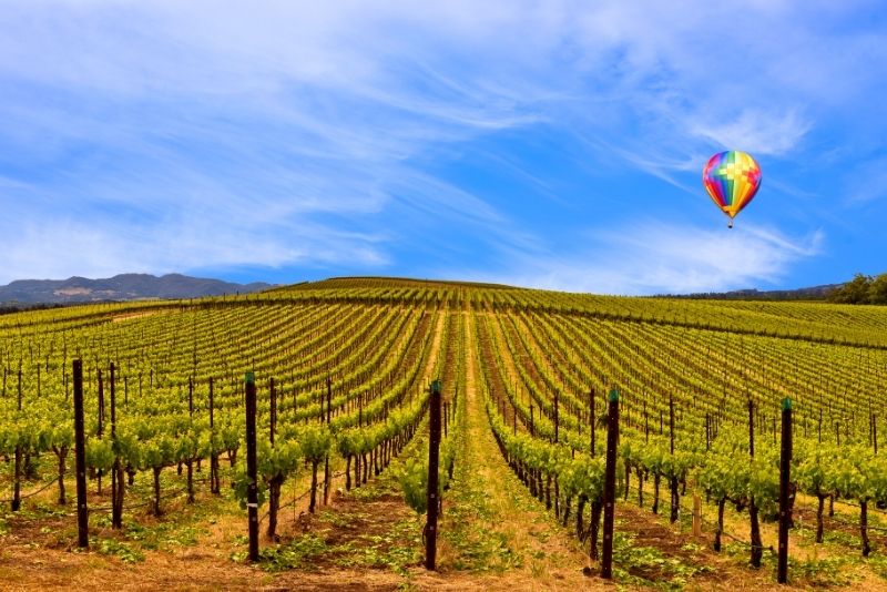Napa Valley, California
