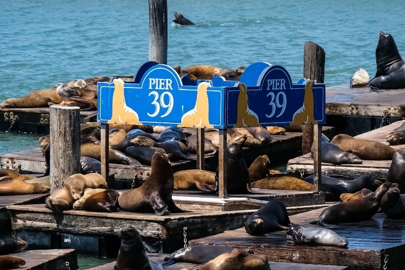 PIER 39, San Francisco, California
