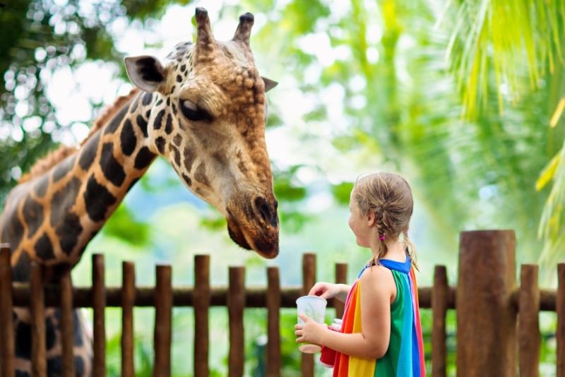 San Francisco Zoo, California