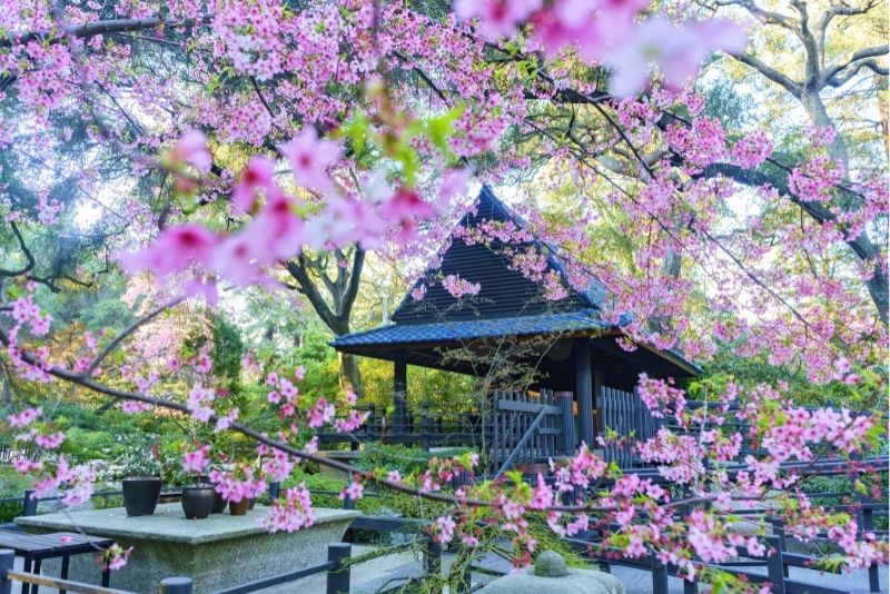 Descanso Gardens, Los Angeles