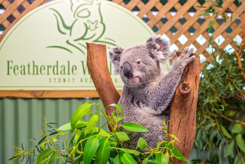 Featherdale Sydney Wildlife Park, Australia