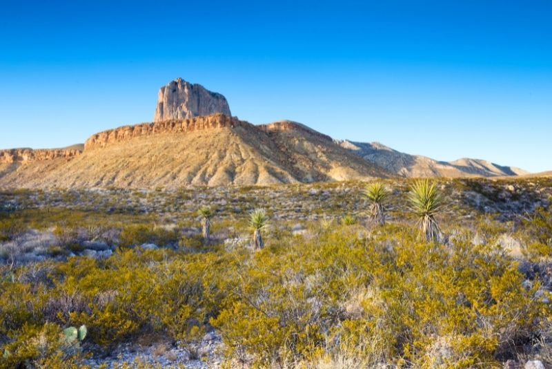 Guadalupe Mountains National Park, Texas