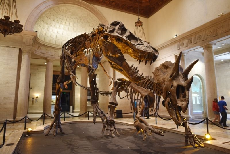 Natural History Museum of Los Angeles County, Los Angeles