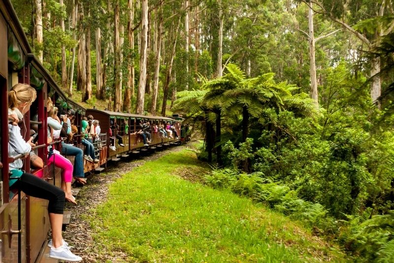 Puffing Billy Railway Steam Train, Australia