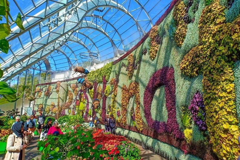 Royal Botanic Garden Sydney, Australia