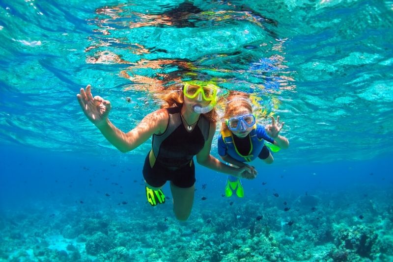 Ibiza Snorkeling and SUP Paddle, Beach and Cave Cruise