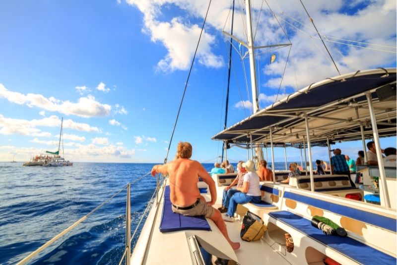 living sea boat trip in Madeira living sea boat trip in Madeira