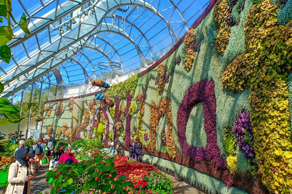 Royal Botanic Garden, Sydney