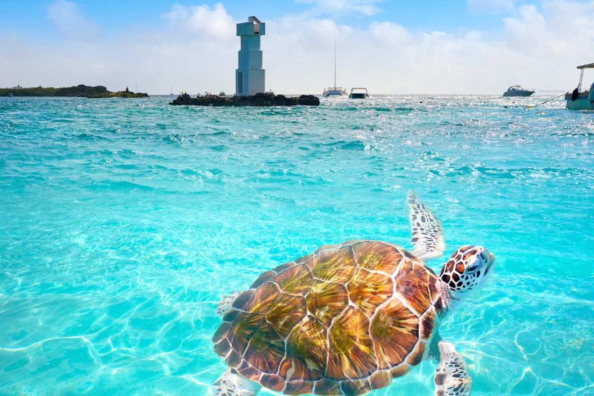 El Farito Lighthouse Reef, Isla Mujeres