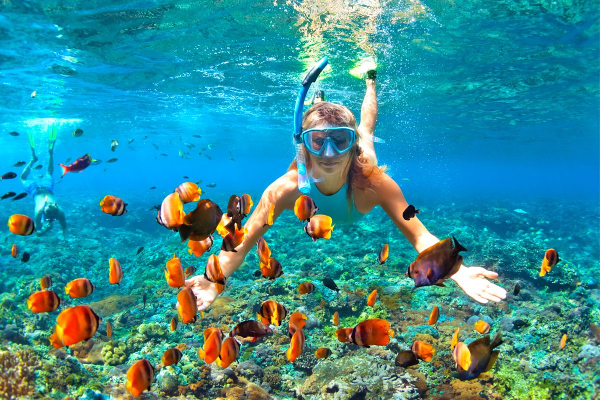 National Reef Park, Puerto Morelos