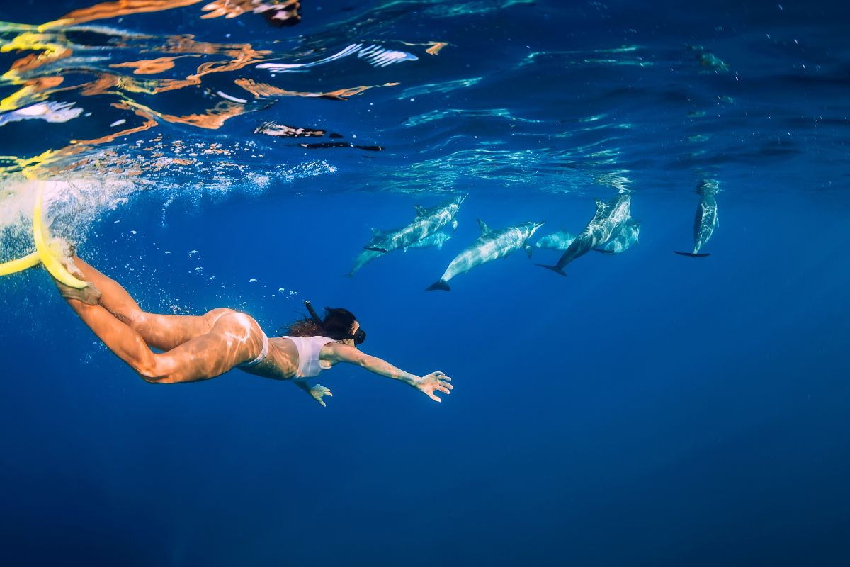 Mākaha Beach Park, Oahu