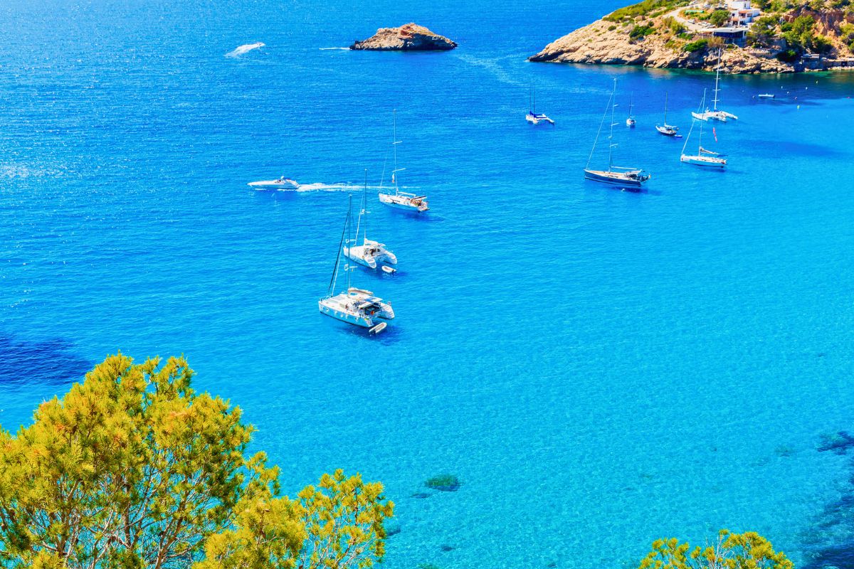 Escursioni Asinara Catamarano