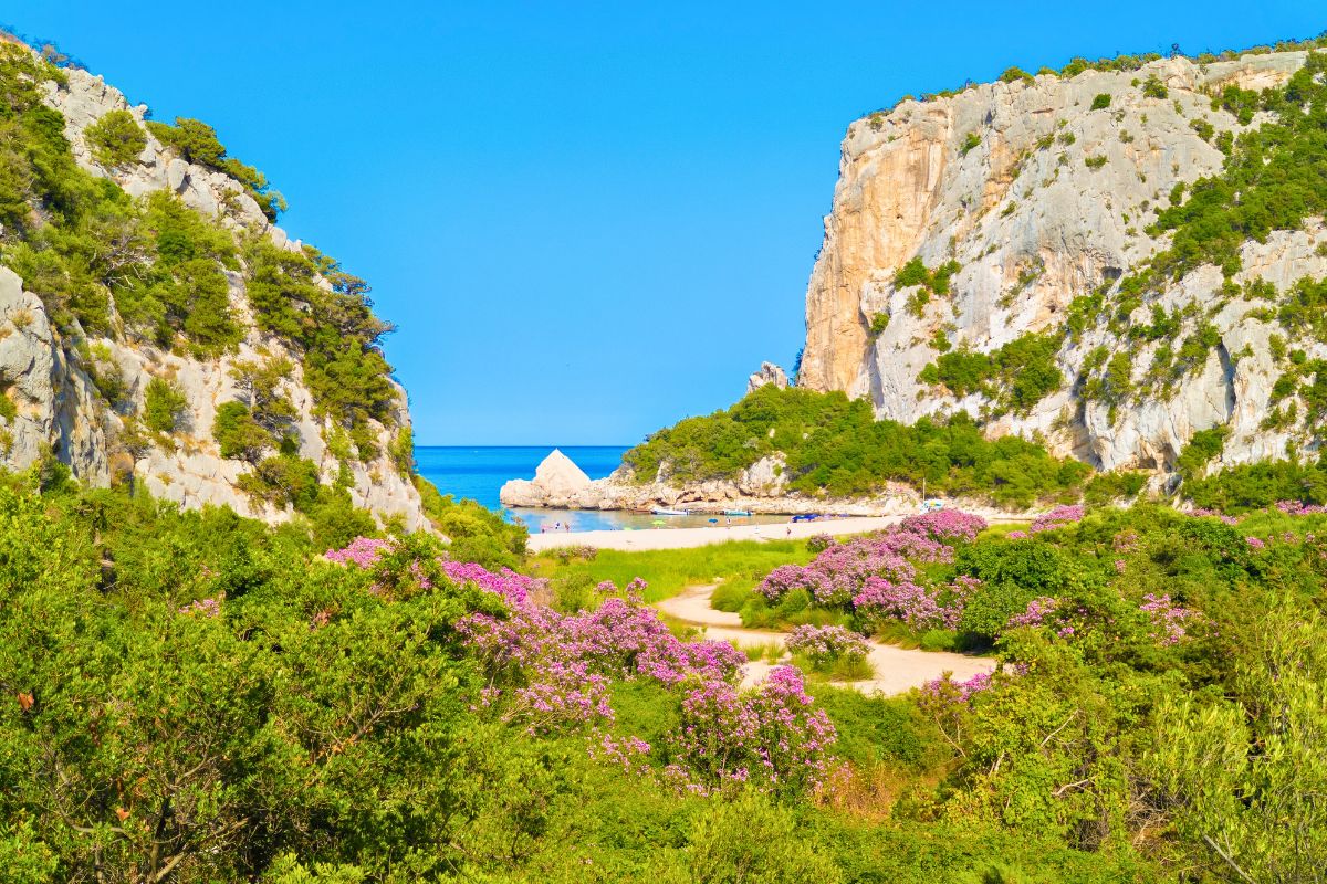 Escursioni nel Golfo di Orosei da Cala Gonone
