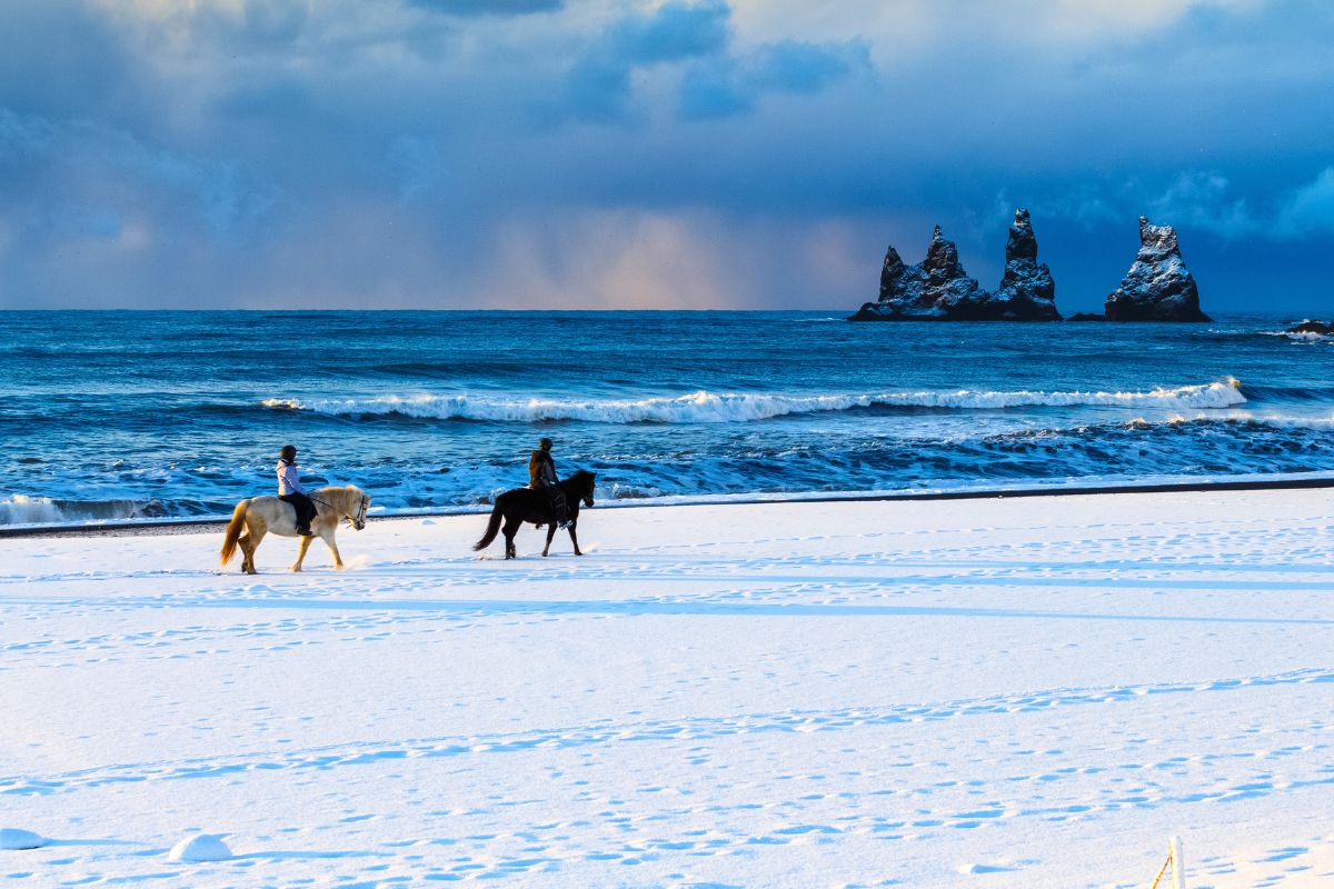 horseback riding tours from Vik