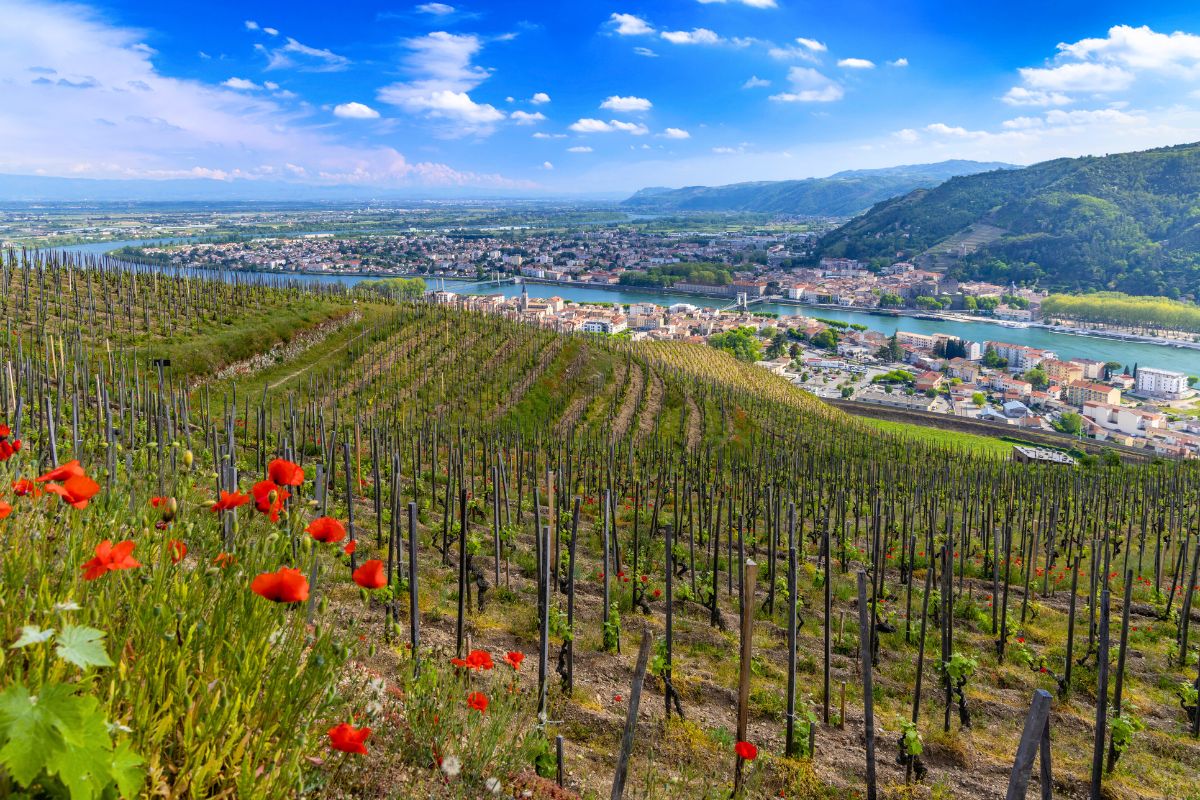 Rhône Valley, France