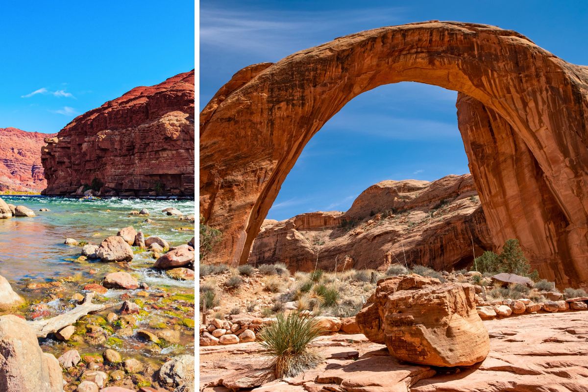 What are the highlights at each rim of the Grand Canyon - East Rim