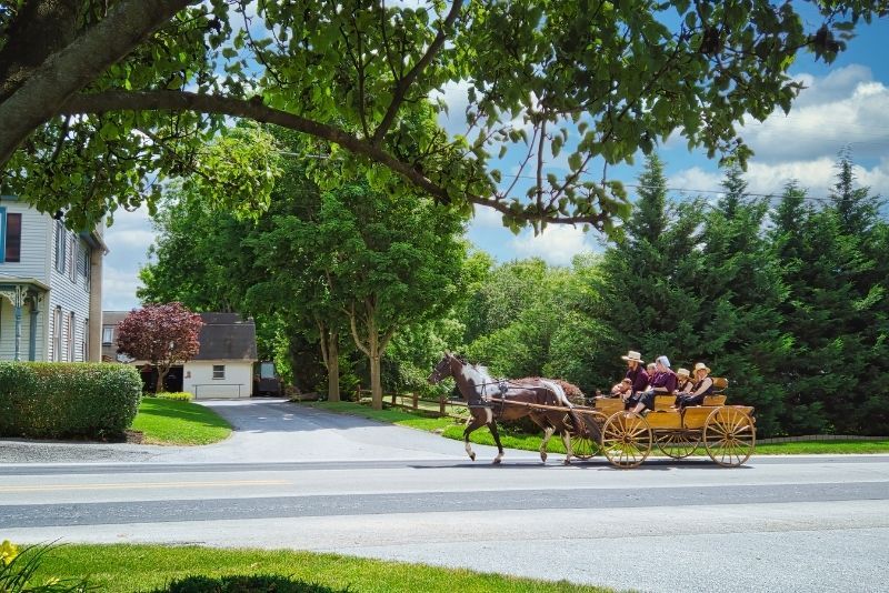 Amish Country Day Tours from New York
