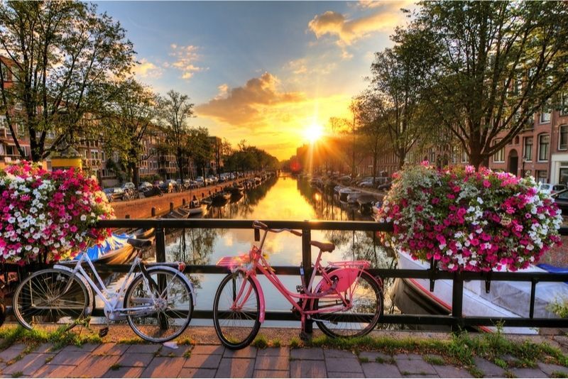 Amsterdam: Excursiones de un día desde Bruselas