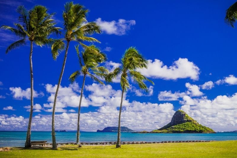 Circle Island Tours in Oahu