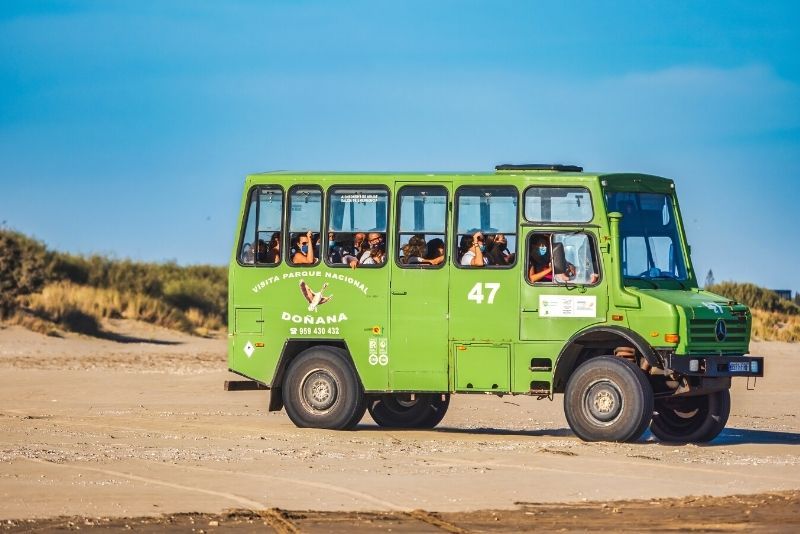 Doñana National Park: Day Trips and Tours from Seville