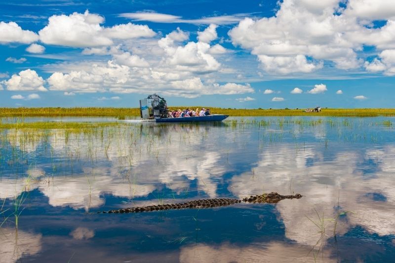 Everglades: Day Trips and Tours from Orlando