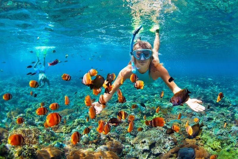 Snorkeling in Madeira