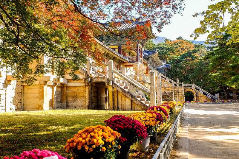 Gyeongju: Day Trips and Tours from Busan
