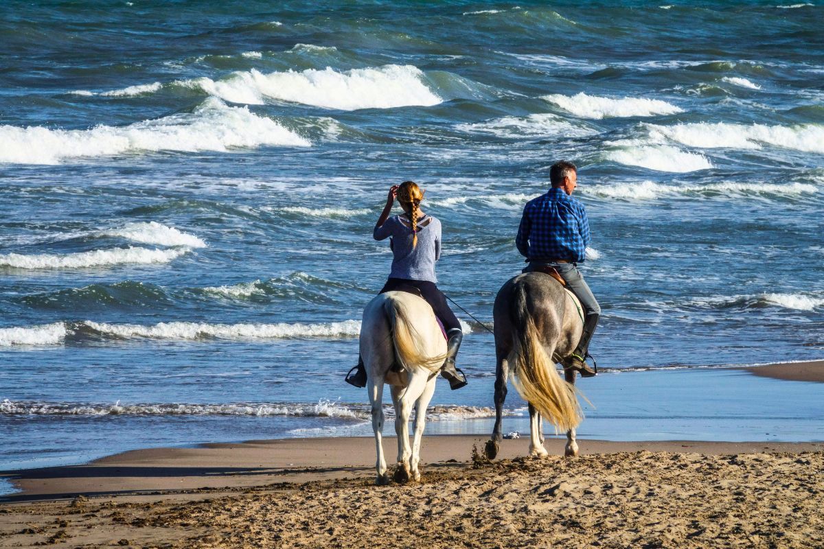 Horse Riding in Valencia