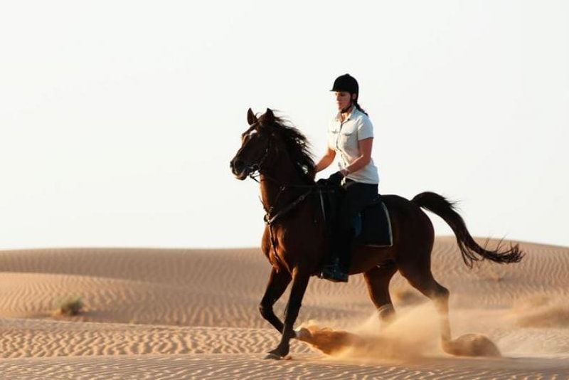 Horse Riding in Dubai