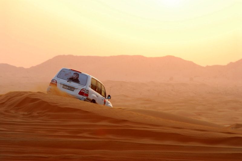 Desert Safari: Day Trips and Tours from Dubai