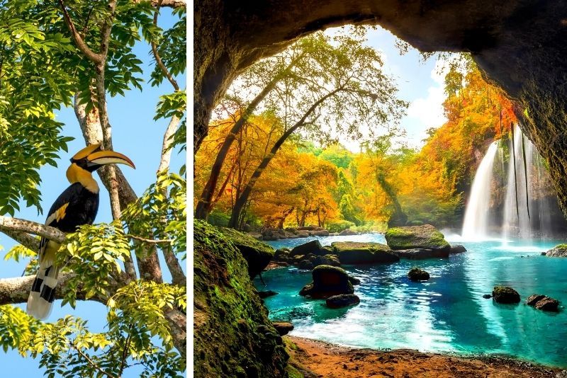 Khao Yai National Park: Tours and Guided Visits