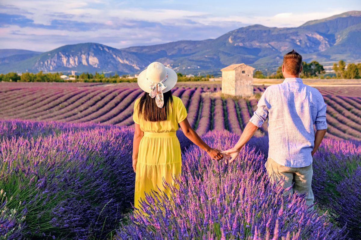 Lavender Fields: Day Trips and Tours from Nice