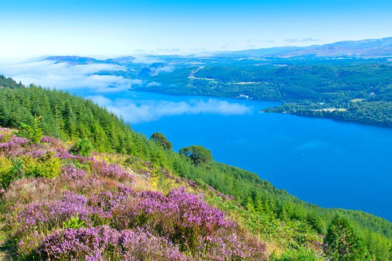Loch Ness: Day Trips and Tours from Edinburgh