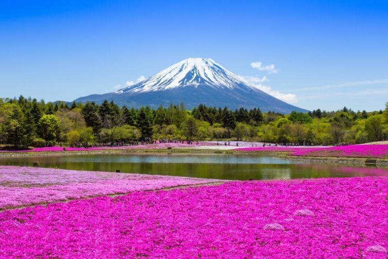 Mt. Fuji: Day Trips and Tours from Tokyo