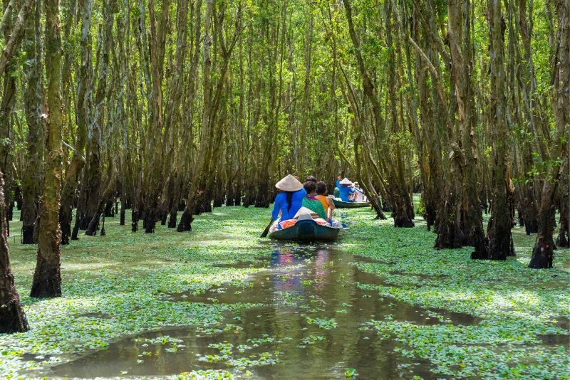Delta del Mekong: Escursioni, tour e gite da Ho Chi Minh City