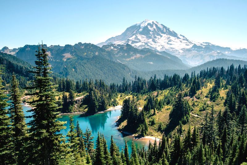 Mount Rainier: Day Trips and Tours from Seattle