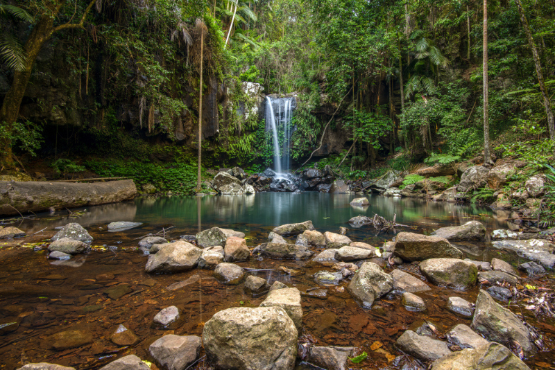 Mount Tamborine: Day Trips and Tours from Gold Coast
