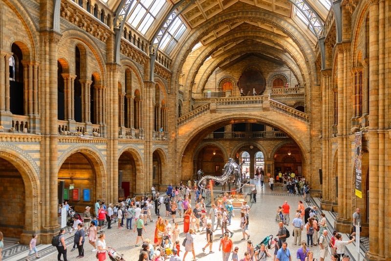 Natural History Museum: Tickets and Tours