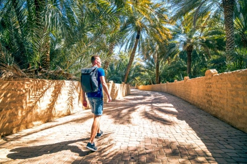 Al Ain: Escursioni, tour e gite da Dubai