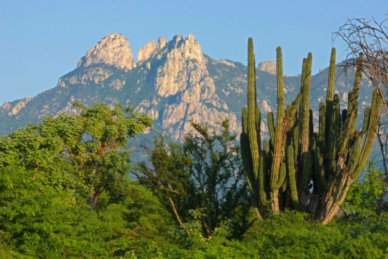 Sierra Madre Mountains: Day Trips and Tours from Puerto Vallarta