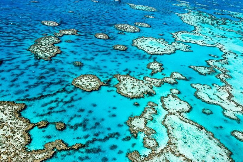 Great Barrier Reef tours from Cairns