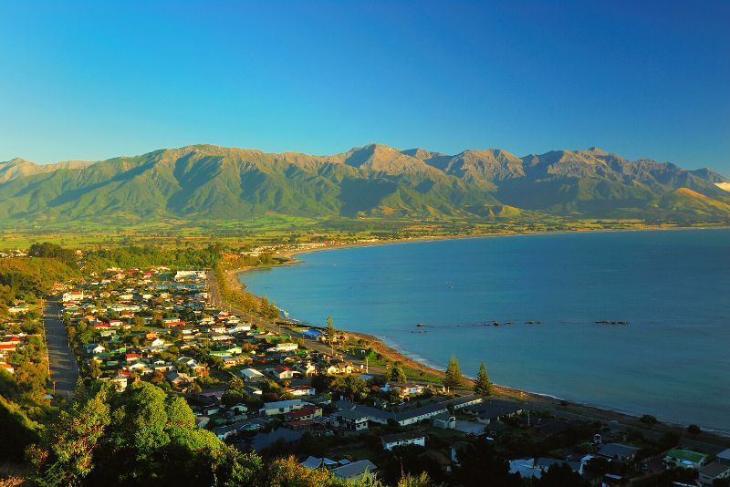 Kaikoura: Tagesausflüge und Tagestouren ab Christchurch