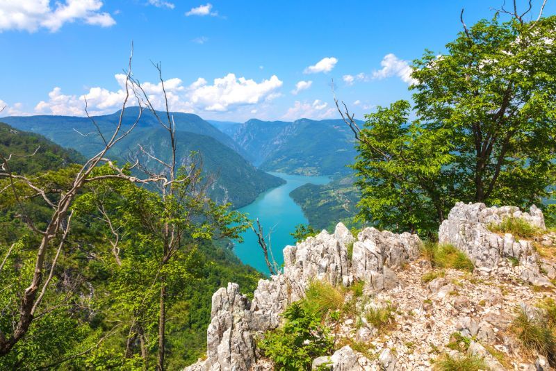 Tara Canyon: Day Trips and Tours from Kotor