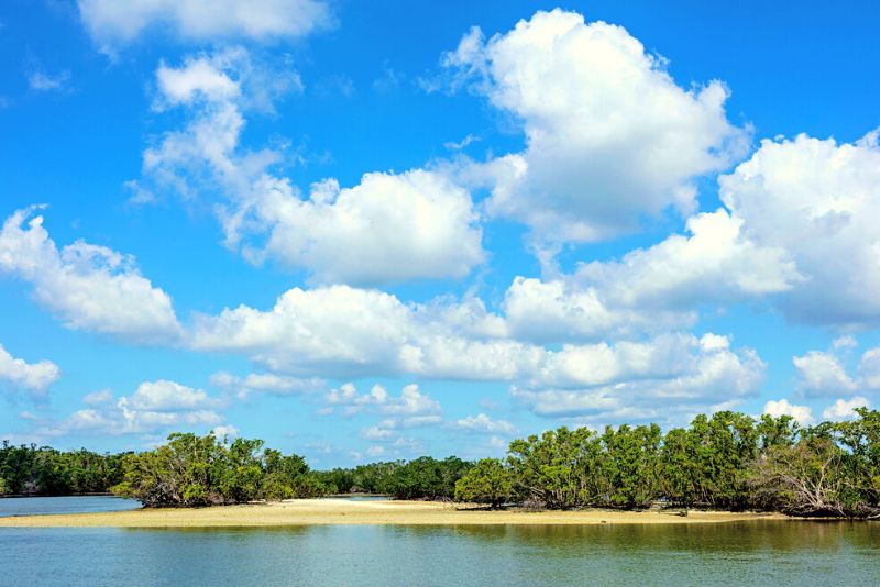 Ten Thousand Islands: Day Trips and Tours from Naples, Florida