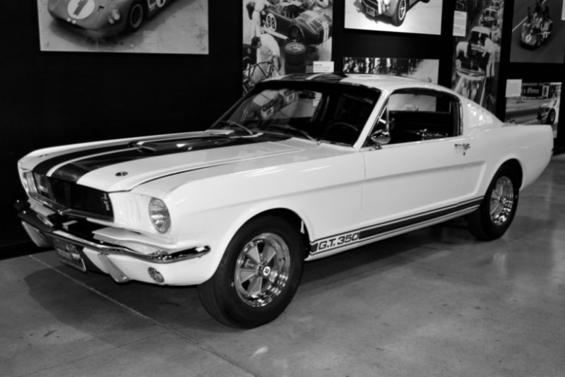Shelby American Museum: Tickets and Tours