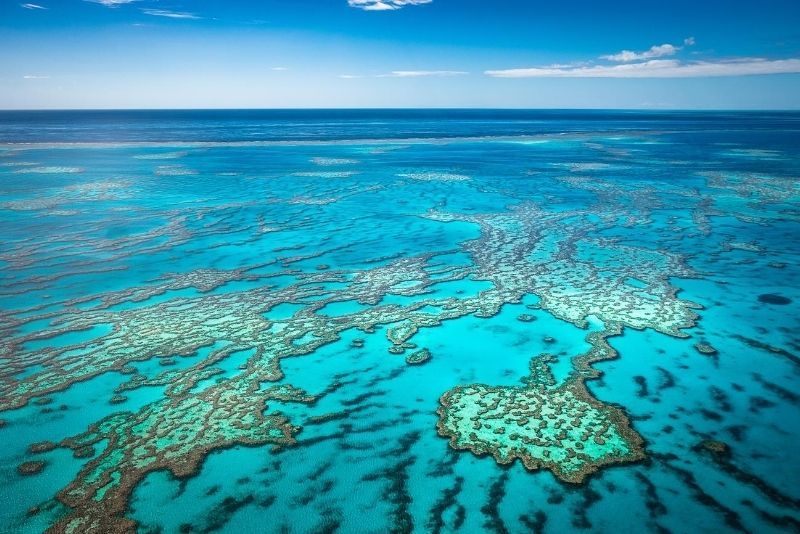 Great Barrier Reef: Day Trips and Tours from Airlie Beach