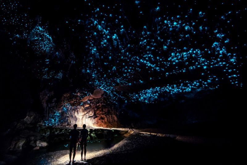 Waitomo Glowworm Caves: Day Trips and Tours from Rotorua