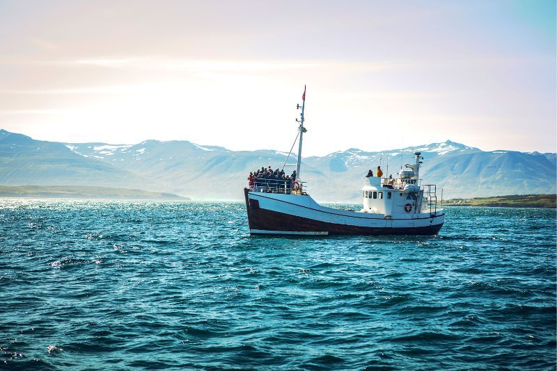 Boat Tours in Reykjavík