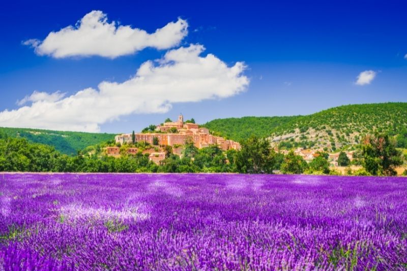 Campi di Lavanda: Escursioni, tour e gite da Marsiglia