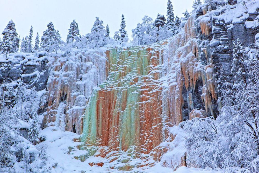Cascadas congeladas Korouoma: Excursiones de un día desde Rovaniemi